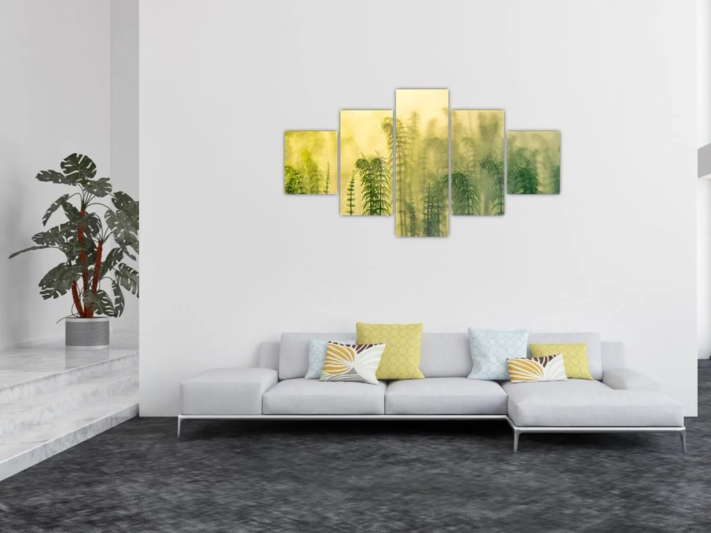 Obraz - Szczegół wiosennej mglistej przyrody (125x70 cm)