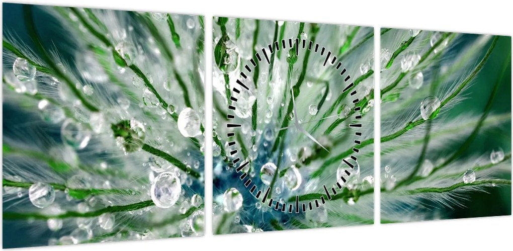 Obraz - Makro zdjęcie kwiatu (z zegarem) (90x30 cm)