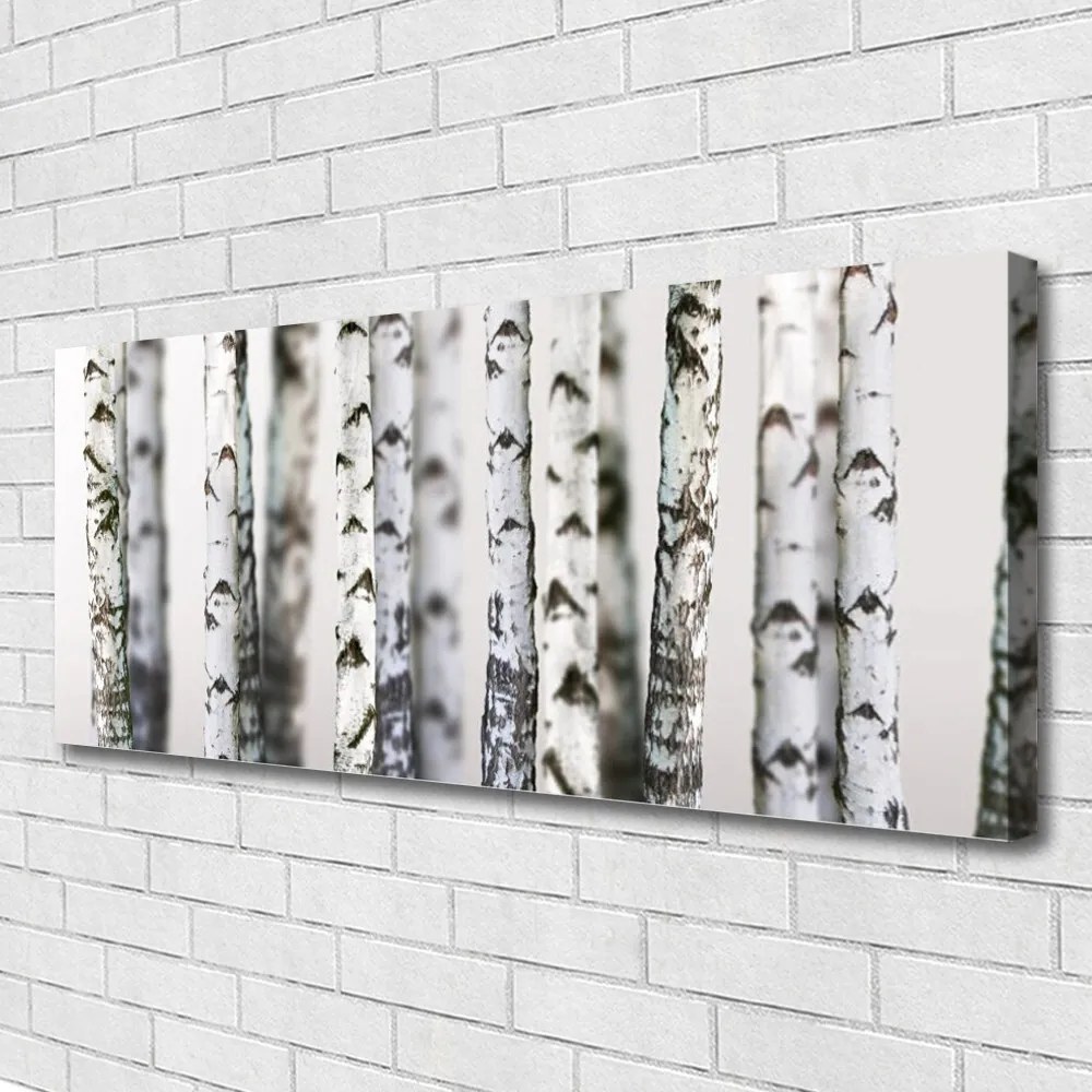 Obraz canvas Gęsta Korona Drzew