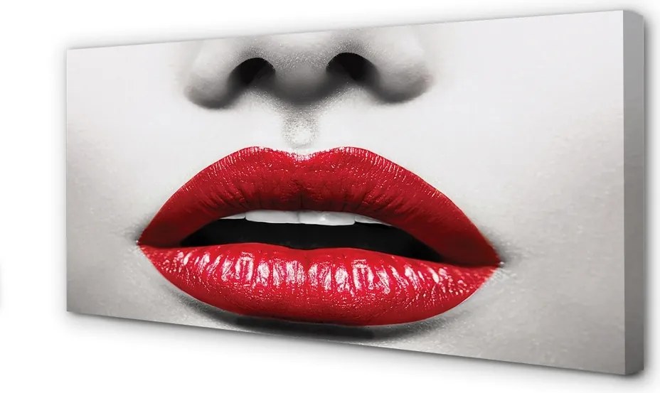 Duży obraz na płótnie Czerwone Usta i Nos Kobiety