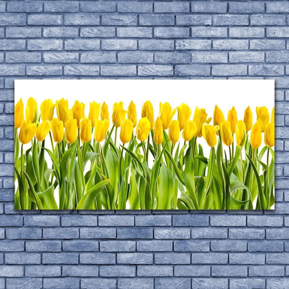 Obraz Szklany Tulipany Kwiaty Natura