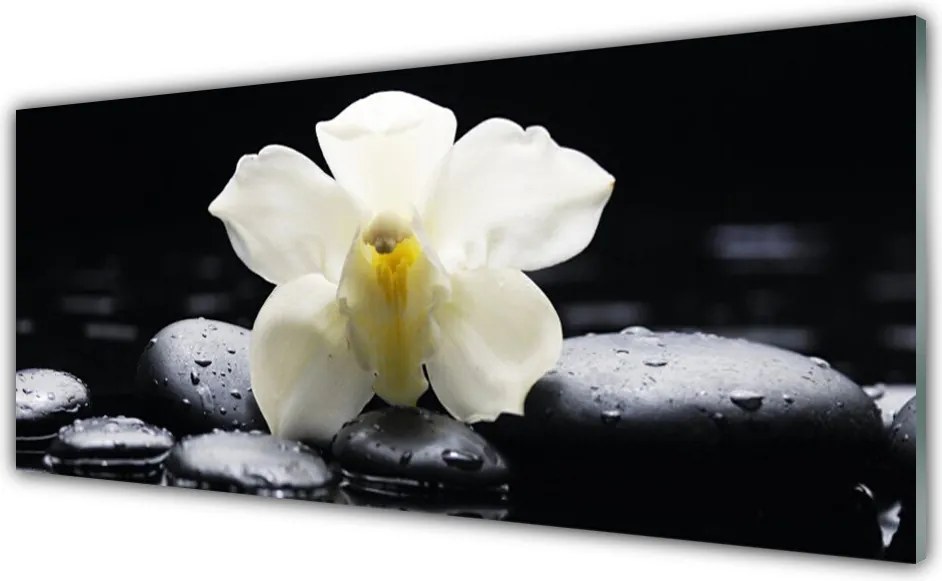 Szkło do Kuchni na Ścianę Klasyczna Elegancja Orchidei