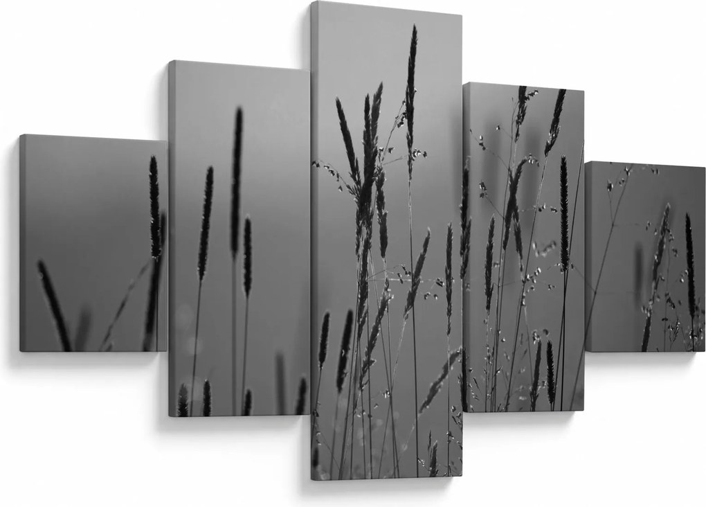 Obraz - źdźbła trawy (125x70 cm)