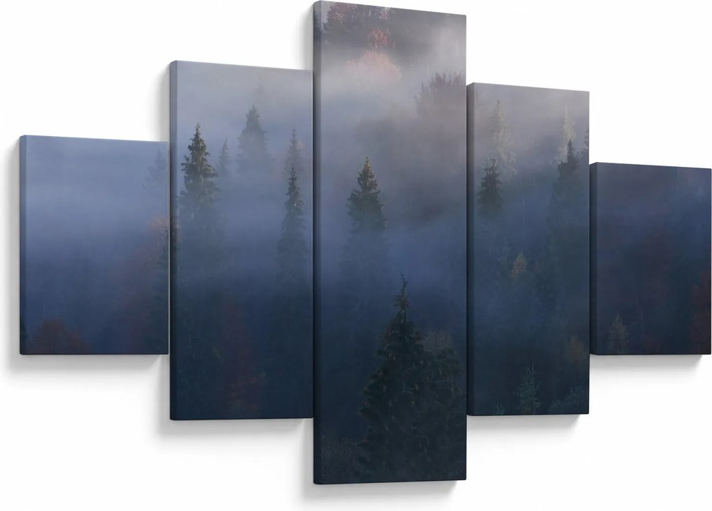 Obraz - Las we mgle, Karpaty, Ukraina (125x70 cm)