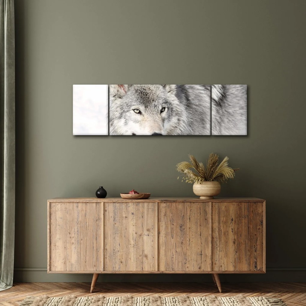 Obraz - Wilk w naturze (170x50 cm)