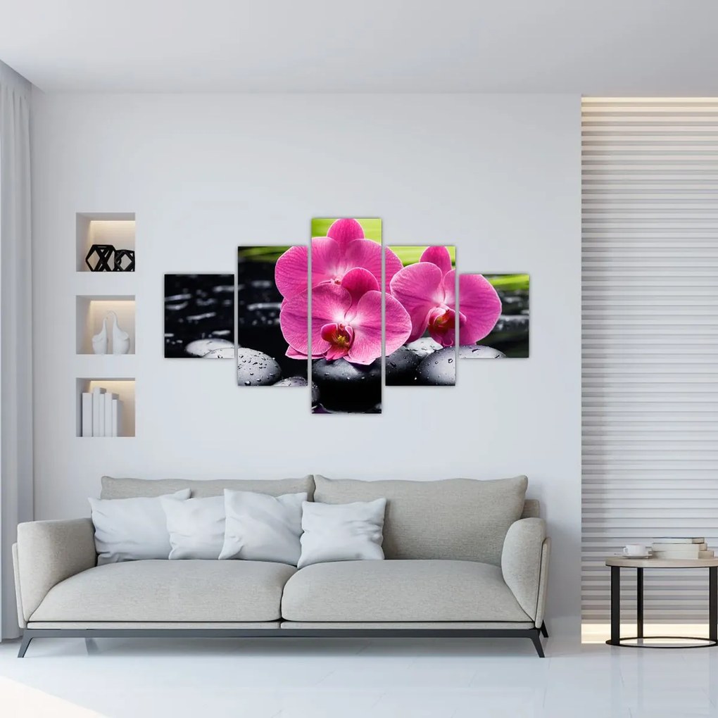 Obraz - Różowe orchidee z liściem palmy (125x70 cm)