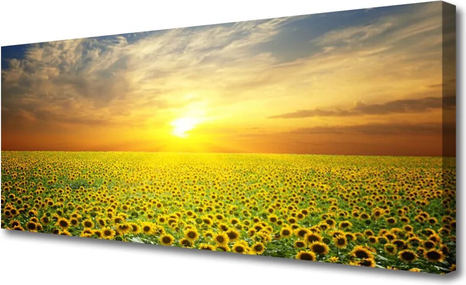 Zdjęcie na płótnie Słoneczniki na Słonecznej Polanie