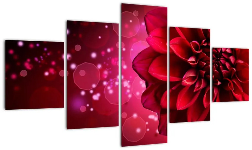 Obraz czerwonego kwiatu (125x70 cm)