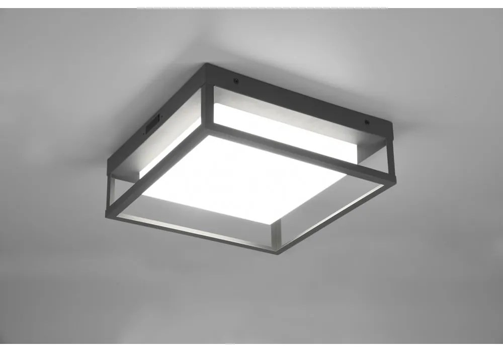 Kinkiet zewnętrzny LED (wys. 10 cm) Witham – Trio