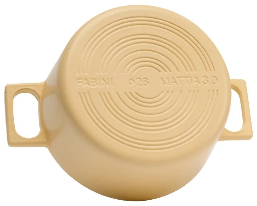 Garnek żeliwny z pokrywką odpowiedni na indukcję 5,5 l Mattia 3.0 – FABINI