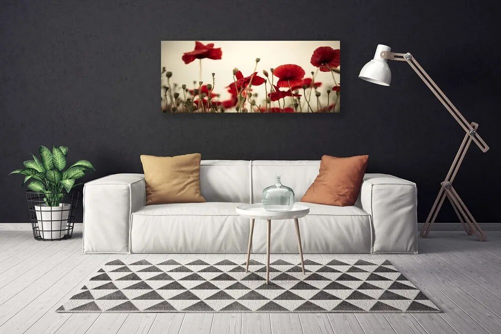 Obraz na płótnie Polne Maki w Rozkwicie
