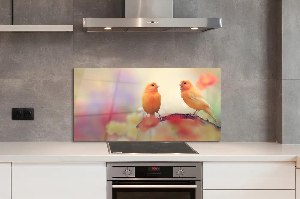 Panel szklany do Kuchni Rodzina Kolorowych Papug