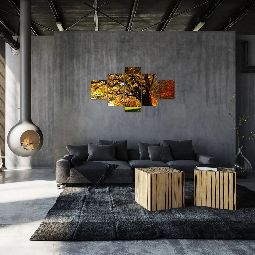Obraz jesiennego drzewa (125x70 cm)