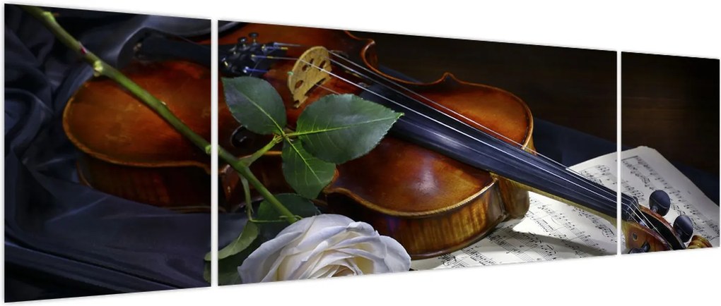 Obraz - Róże i skrzypce (170x50 cm)