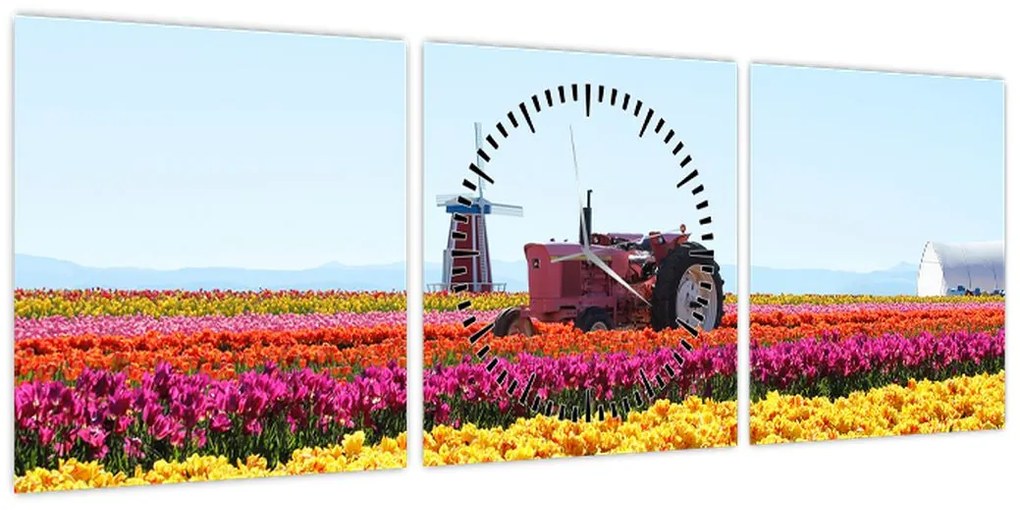 Obraz farmy tulipanów (z zegarem) (90x30 cm)