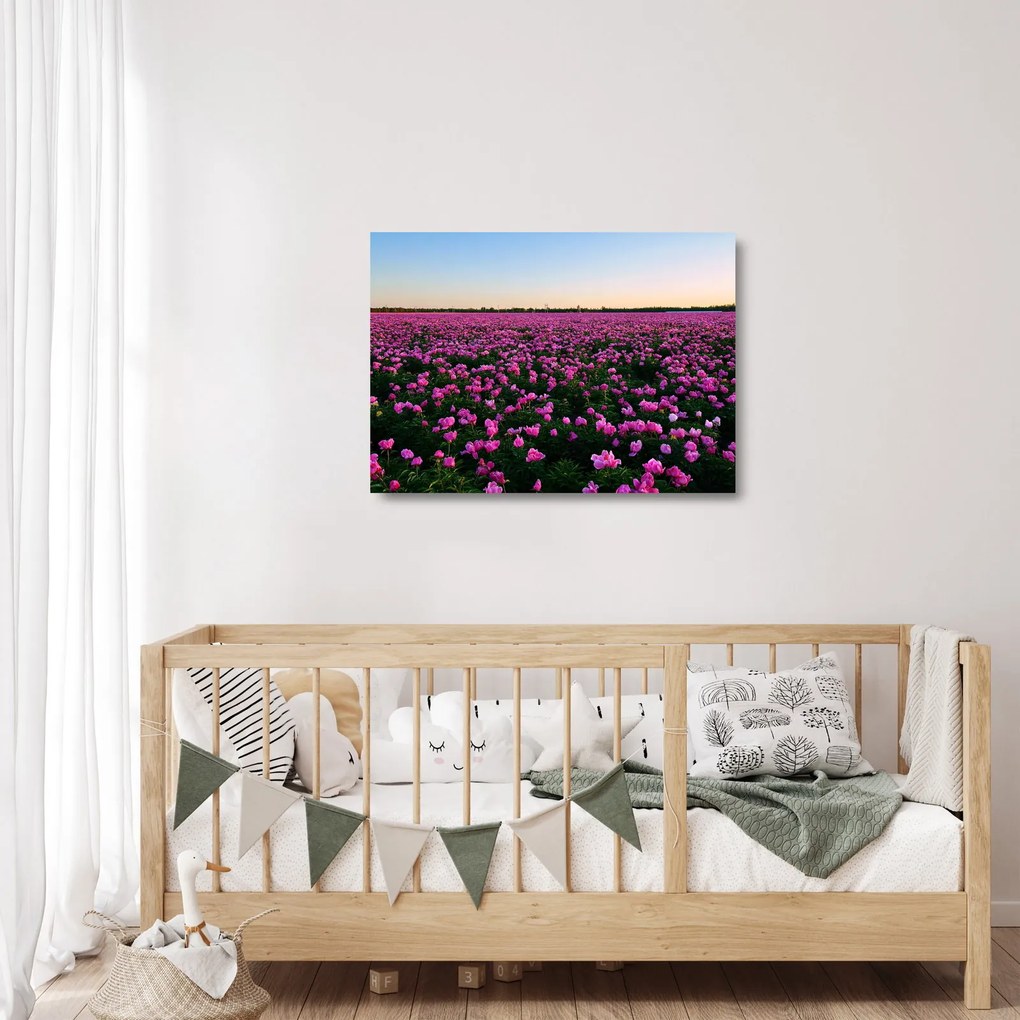 Obraz na szkle - Łąka fioletowych tulipanów (70x50 cm)