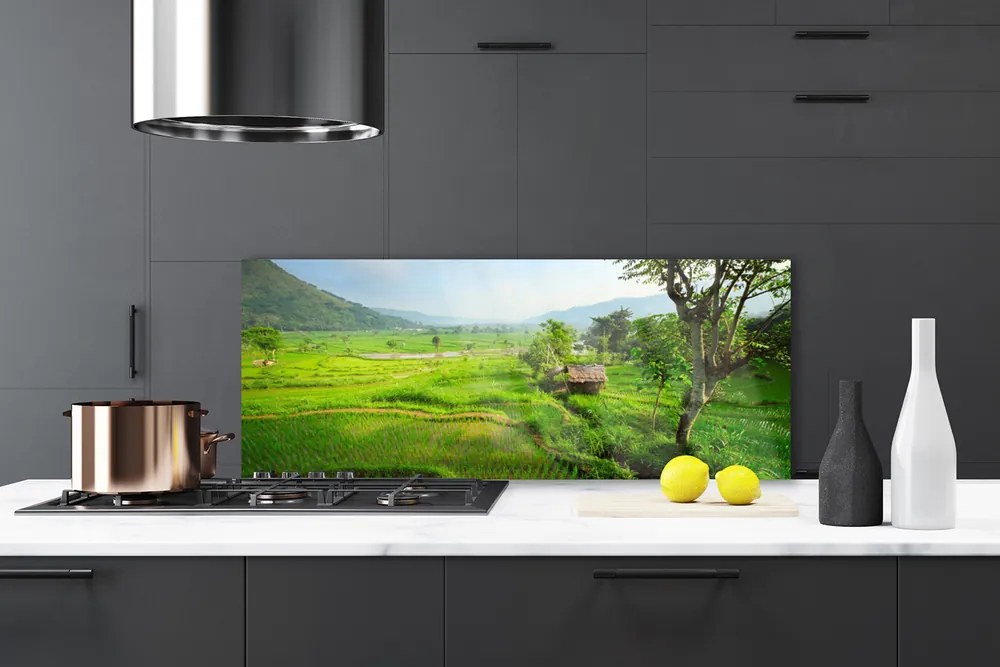 Szkło Dekoracyjne do Kuchni Sielska Zielona Łąka