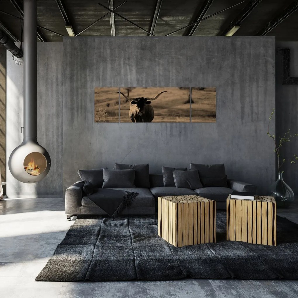 Obraz - Krowa z Teksasu (170x50 cm)