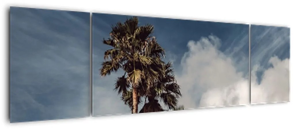 Obraz - Palmowy dramat (170x50 cm)