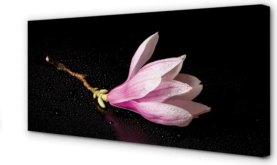 Zdjęcie na płótnie Kwiat na Wodzie
