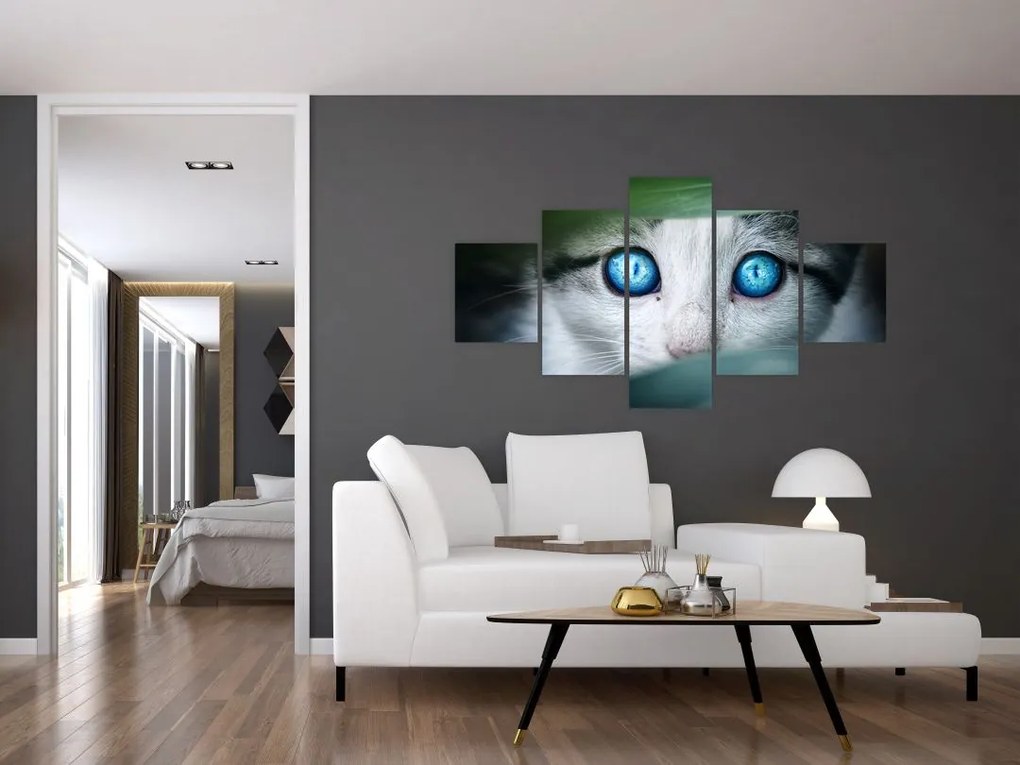 Obraz kota (125x70 cm)