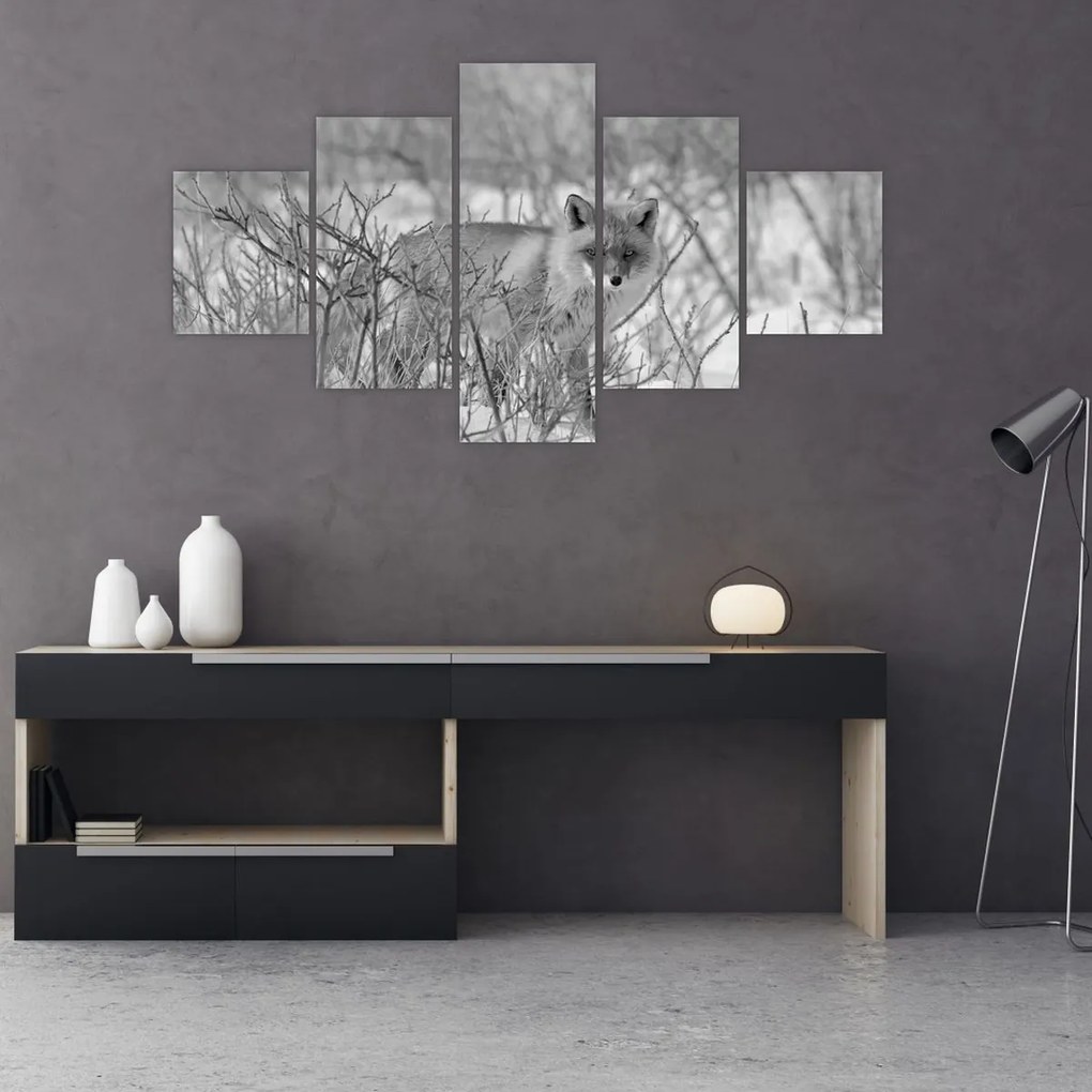 Obraz - Lis, czarno - biały (125x70 cm)