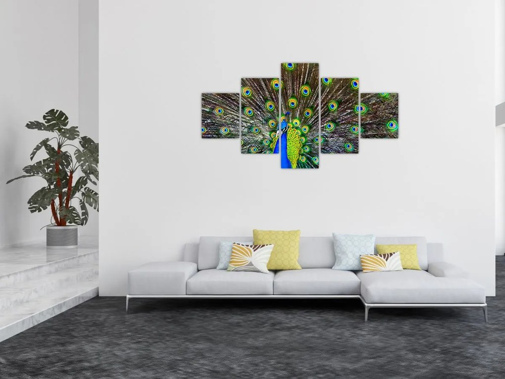 Obraz - Paw (125x70 cm)