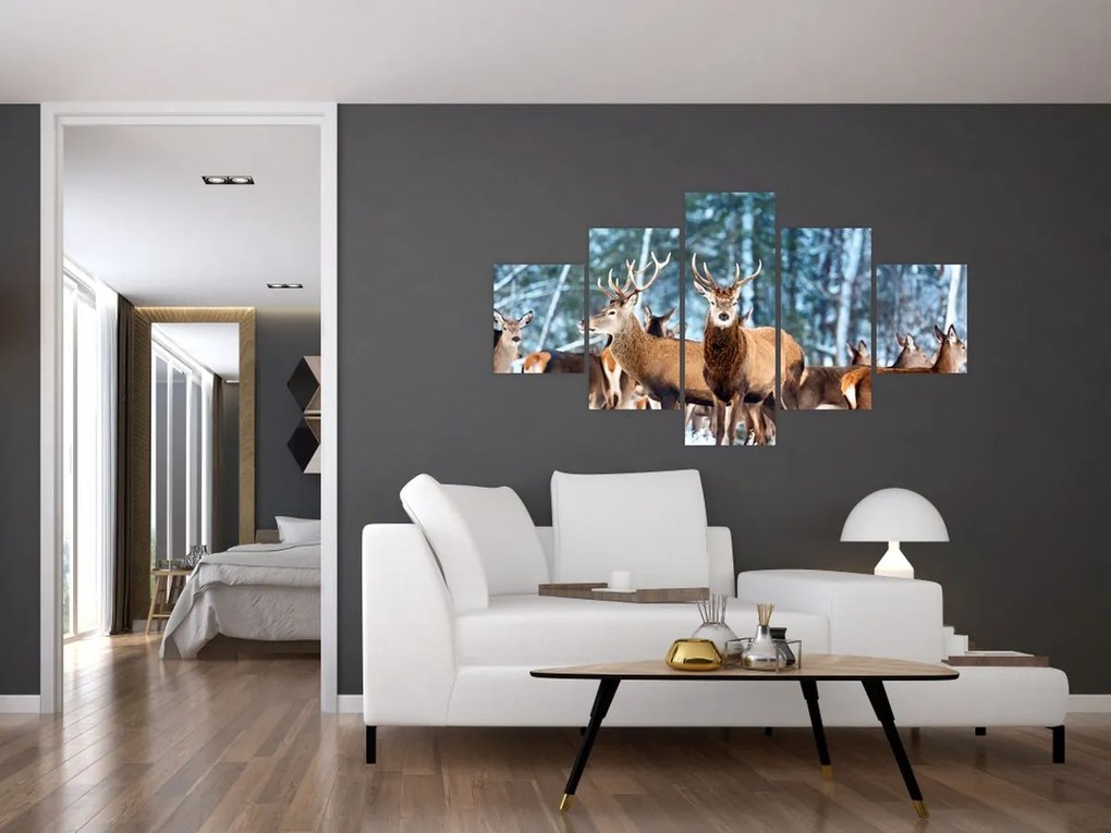 Obraz - Stado jeleni (125x70 cm)