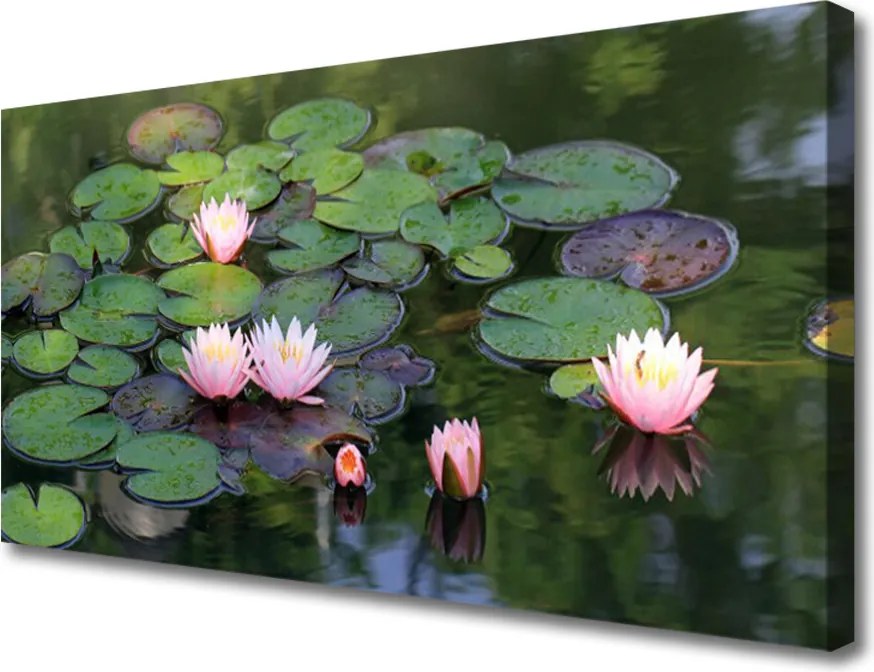 Obraz canvas Subtelna Lilia na Wodzie