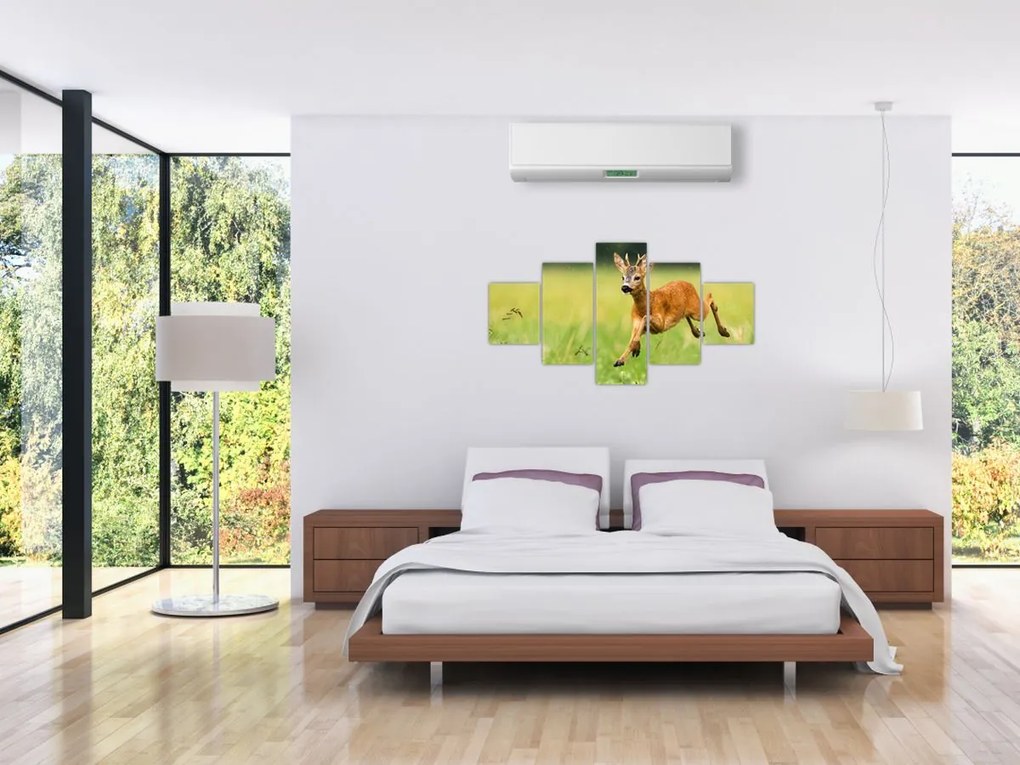 Obraz - Sarna (125x70 cm)