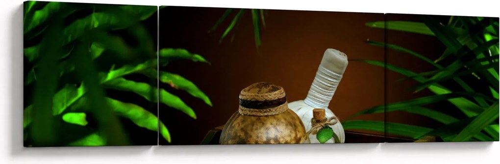 Obraz rzeczy spa (170x50 cm)