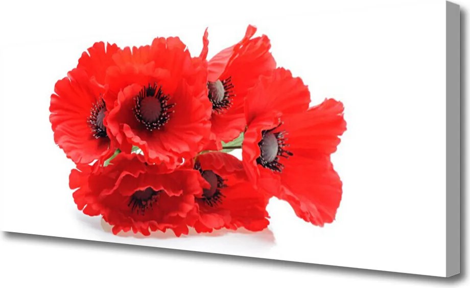 Obraz drukowany na płótnie Zestawienie Kwiatowych Motywów