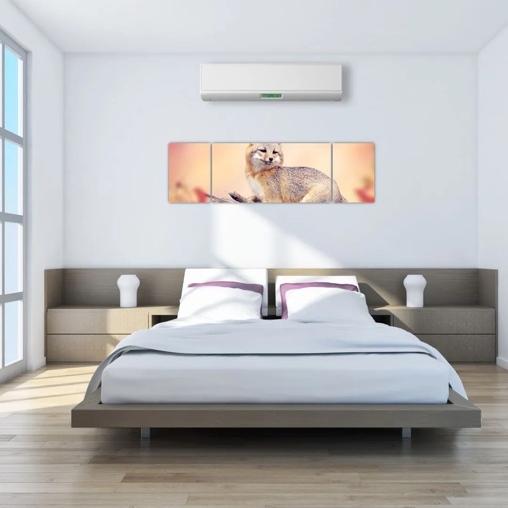 Obraz - Lis (170x50 cm)