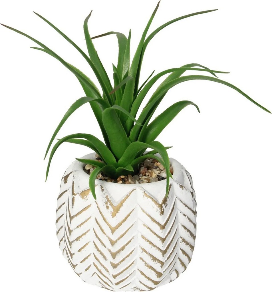 Dekoracja Aloes II 14cm