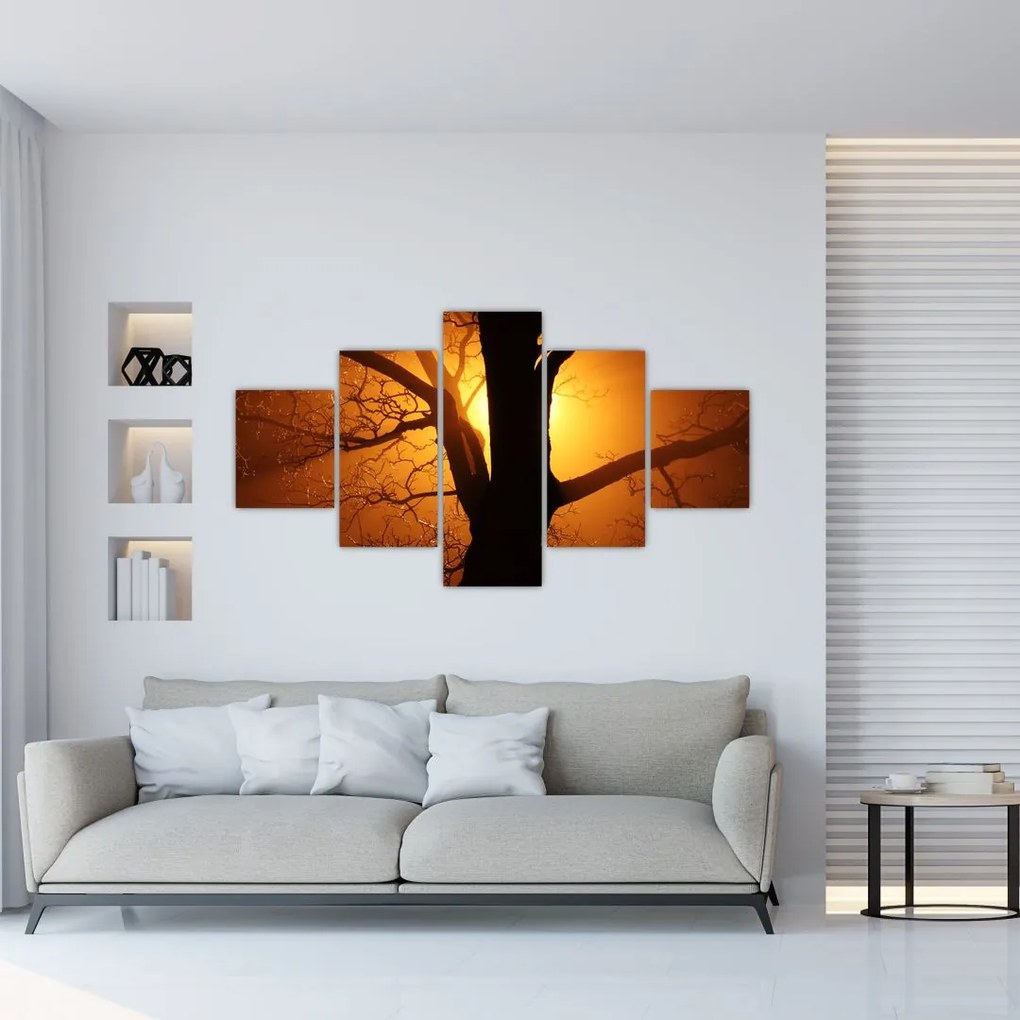 Obraz drzewa o zachodzie słońca (125x70 cm)