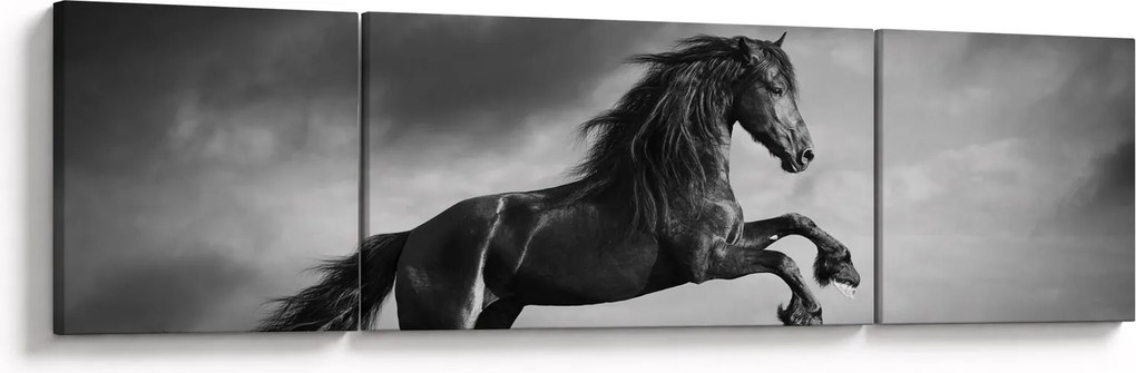 Obraz - Czarny i biały koń (170x50 cm)