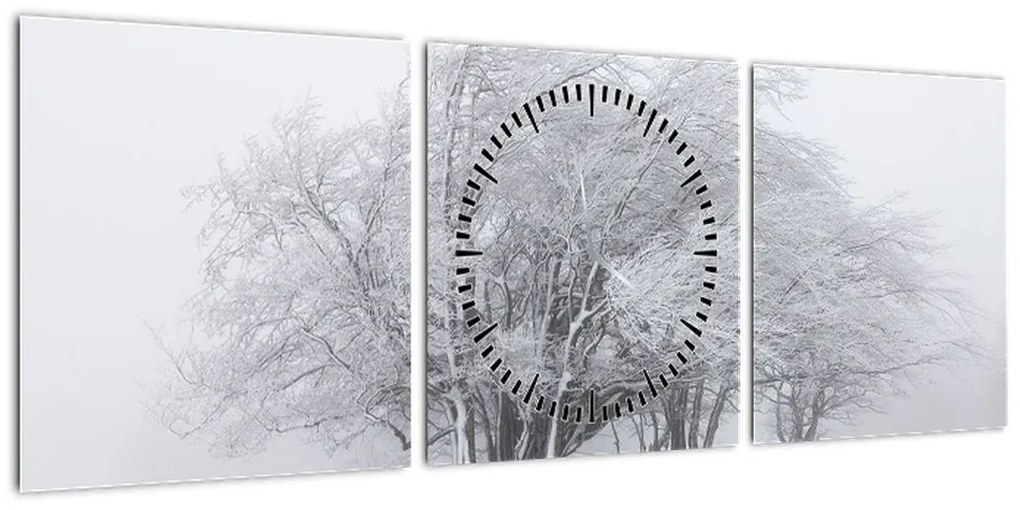 Obraz - Biała zima (z zegarem) (90x30 cm)