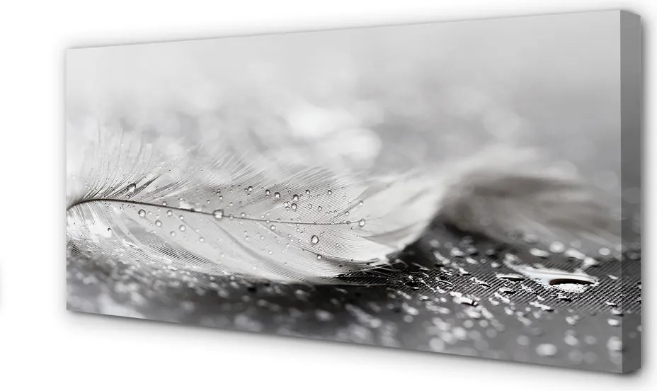 Obraz canvas na ścianę Delikatne Krople na Piórku