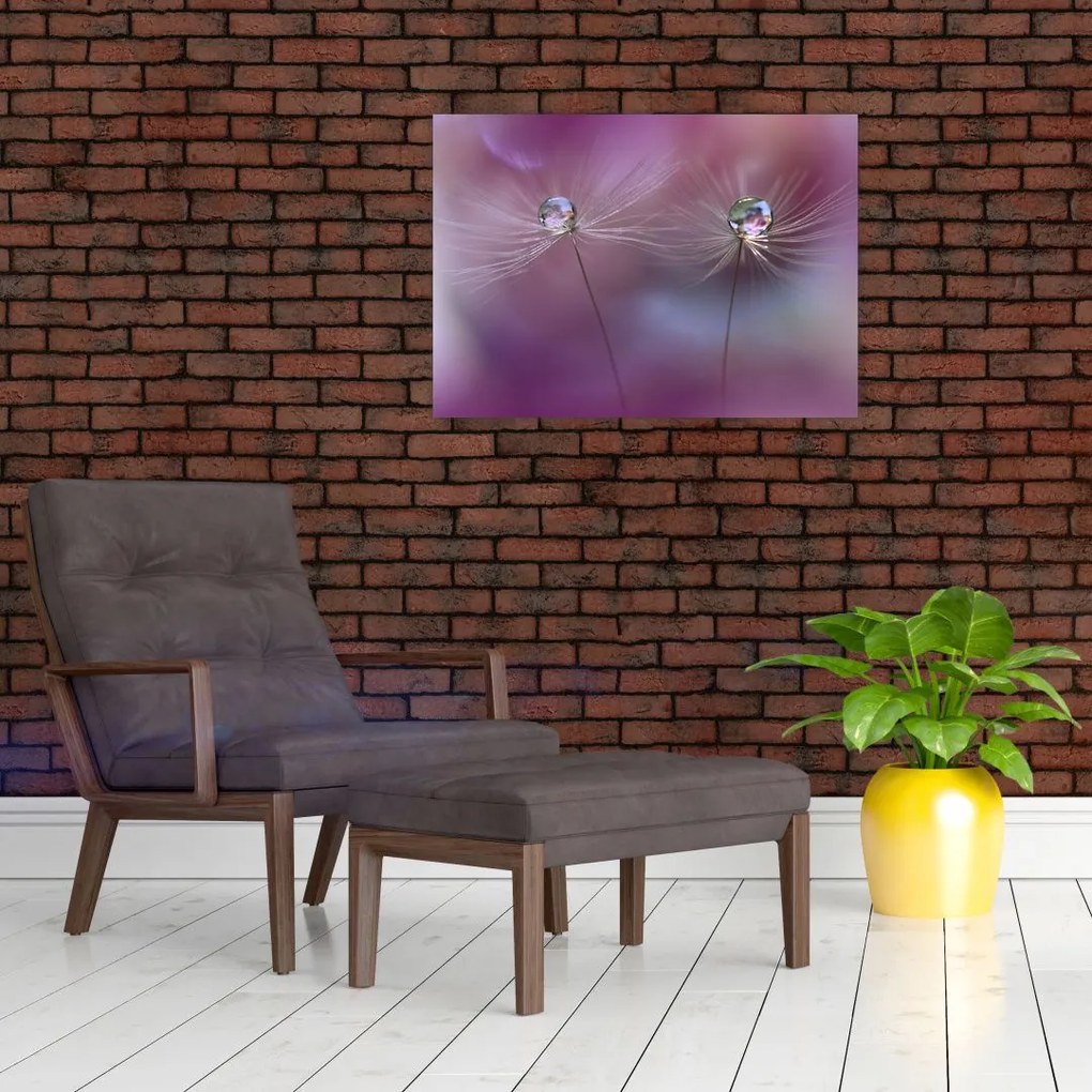 Obraz kropelek na puchu (70x50 cm)