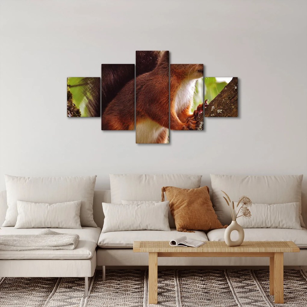 Obraz wiewiórki (125x70 cm)