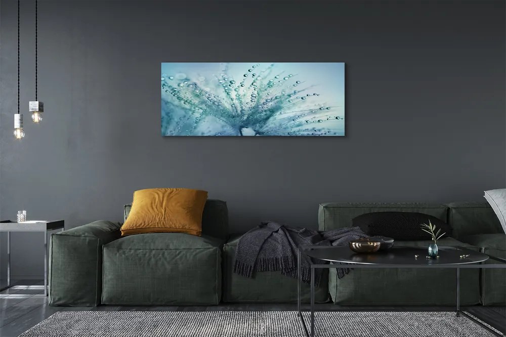 Obraz canvas na ścianę Ulotne Krople na Dmuchawcu