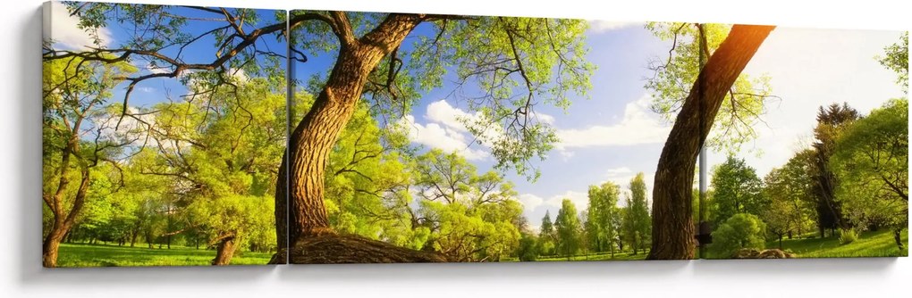Obraz wiosennej łąki (170x50 cm)