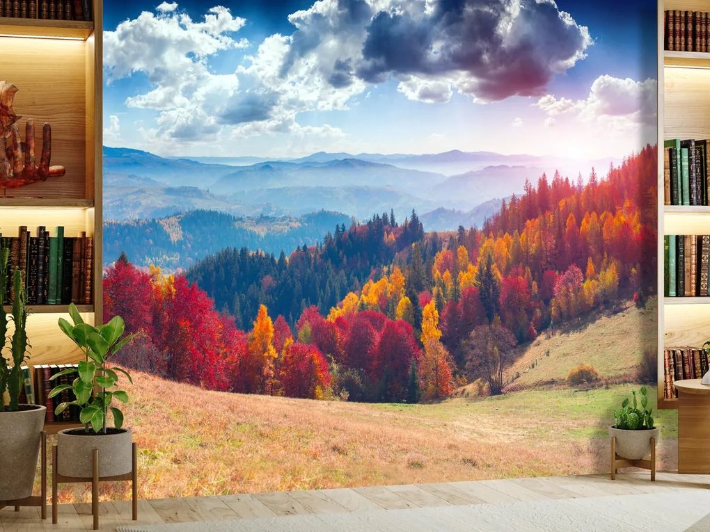 Fototapeta - Jesienne lasy (196x136 cm)