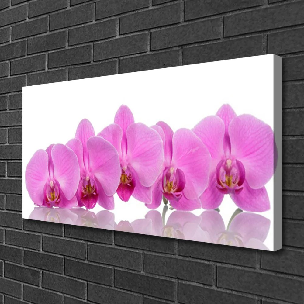 Obraz canvas Różowa Orchidea w Zbliżeniu