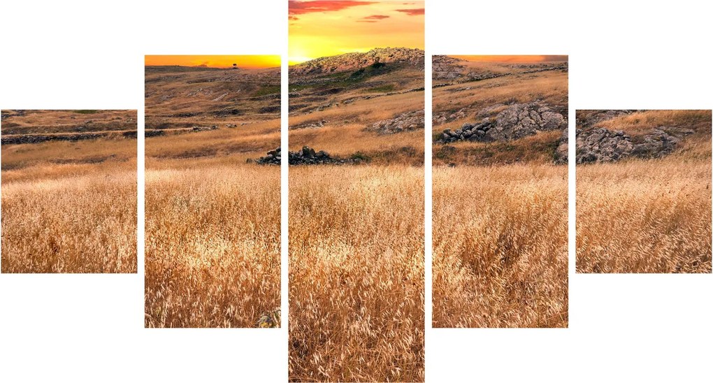 Obraz pola (125x70 cm)