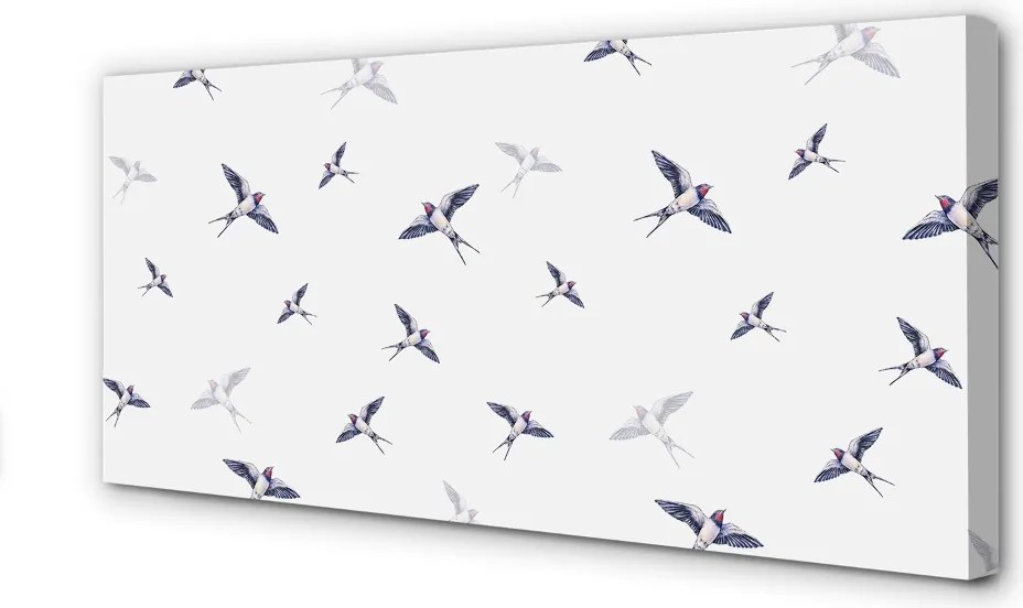 Obraz drukowany na płótnie Kwiaty i Ptaki