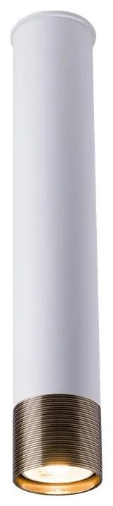 Amplex 8251 - Oprawa punktowa EIDO 1xGU10/10W/230V biały/złoty