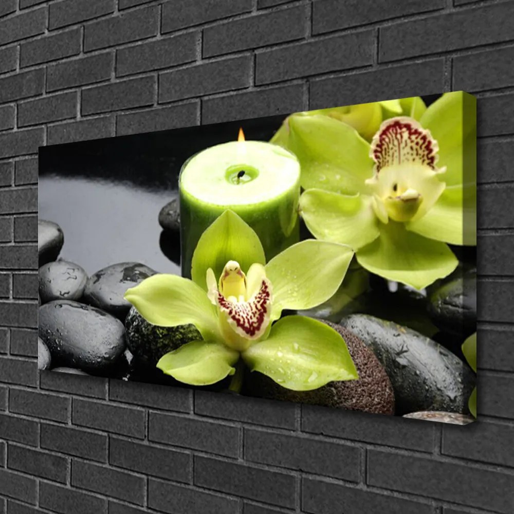 Obraz Canvas Orchidea Kwiaty