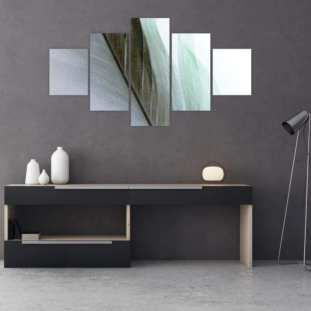 Obraz - Pióra, makro (125x70 cm)