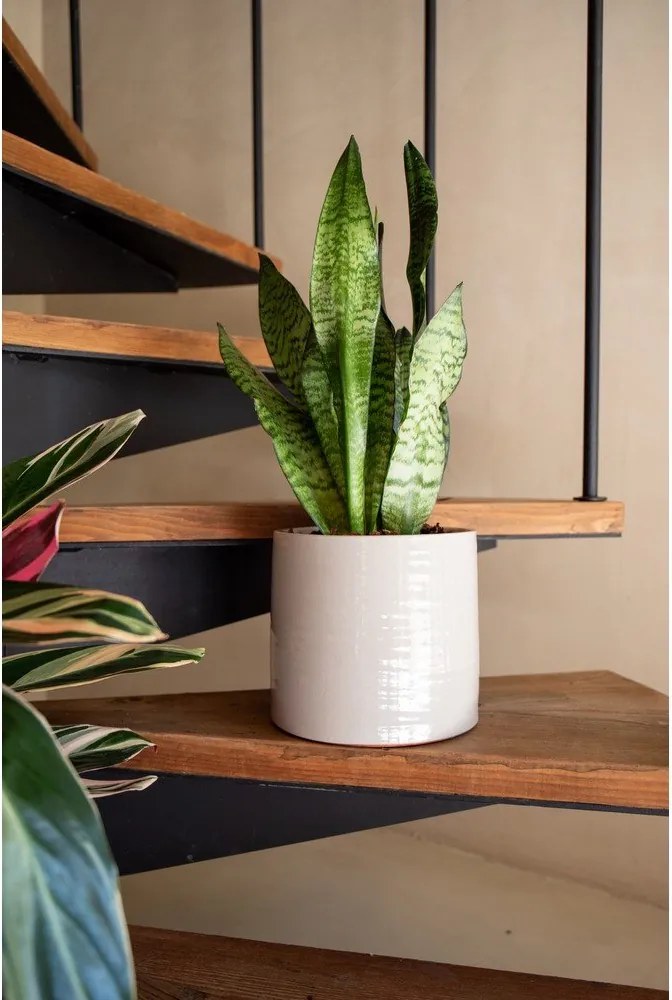 Ceramiczna ręcznie wykonana osłonka na doniczkę ø 25 cm Fortuna – Artevasi